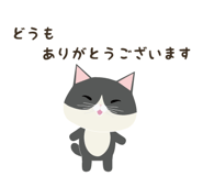843146853