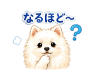 843147655