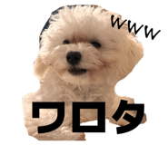 843147716