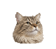 843148203