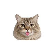 843148207