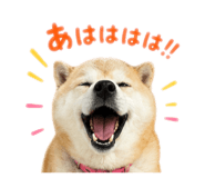 843148222