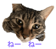 843148230