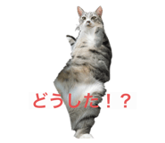 843148231