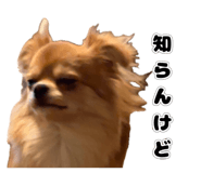843148381