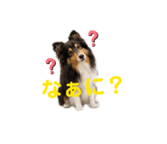 843148626