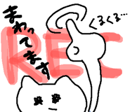 843149604