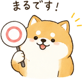 843149762