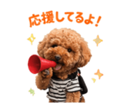 843150052