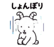 843150523