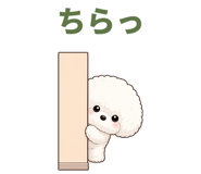 843150810