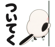 843151055