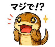 843151197