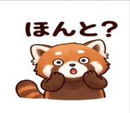 843152054