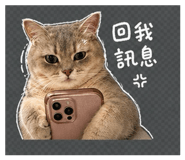 843152538