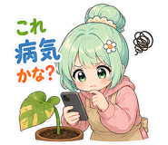 843152584