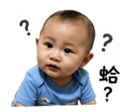 843153453