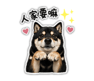 843153560