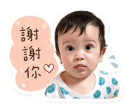 843154554