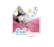 843154703