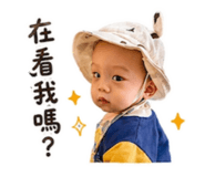 843155484