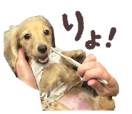 843155518