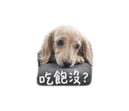 843155689