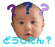 843155877