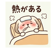 843156240