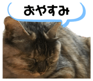 843156539