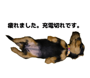 843156574