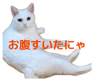 843156649
