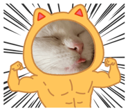 843156650