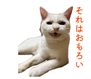 843156658