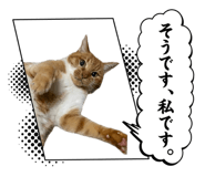 843156663