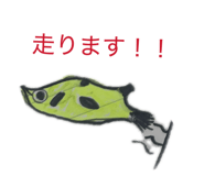 843156672