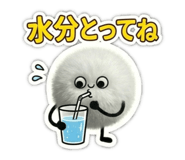 843156733