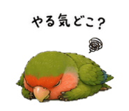 843156786