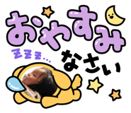 843157522
