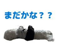 843157557