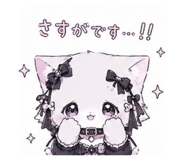 843157636
