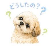 843158037