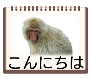 843158153