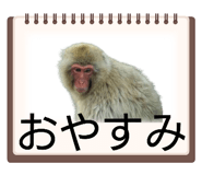 843158156
