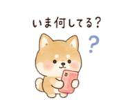843158254