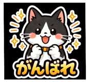 843158364