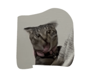 843158551