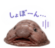 843158764