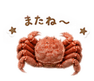 843158767