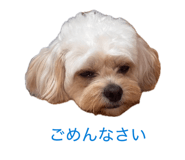 843158796